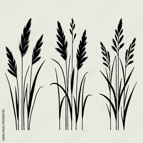 Black and White Meadow wild herbs. Herbaceous blooming reedmace  plants. Set of outline doodle floral sketch Leaves. Hand drawn reed and cattail Botanical drawing. Line art grasses, rush stems