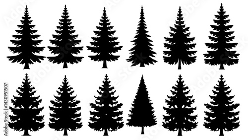 silhouettes of diverse evergreen trees with unique shapes and branches for nature-inspired designs, digital art, posters, and educational materials
