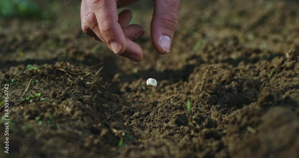 Super Slow Motion Close-Up of Traditional Hoe Tilling Dry Soil in a Field. Rustic Farming Scene Depicting Manual Labor, Agriculture Tools and Earth Preparation for Cultivation at 1000 fps.