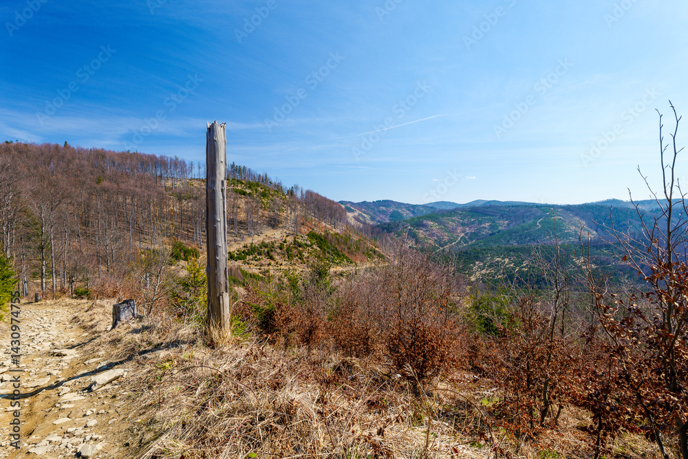 Beautiful mountain landscape. Early spring. Beskid Żywiecki. Yellow trail from Rycerka to Wielka Racza. Dry branch in the foreground. Poland