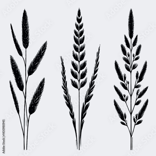 Black and White Meadow wild herbs Herbaceous blooming plants. Set of outline doodle floral sketch Leaves. Hand drawn Wheat rye. Ears Botanical drawing. Line art grasses stems grain spikes illustration