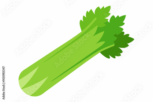 celery vector illustration