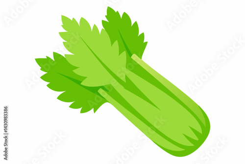 celery vector illustration