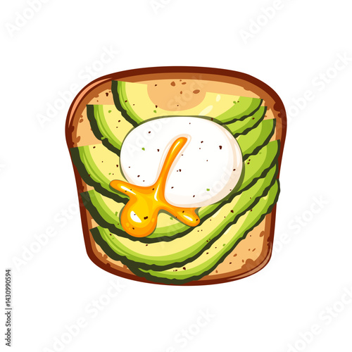 Sandwich with avocado slices, poached egg. Healthy breakfast. Top view. Vector illustration on white background.