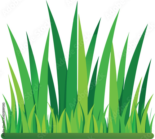 Fresh green blades of spring grass, a vector illustration isolated on a white background, evoke a sense of nature and growth