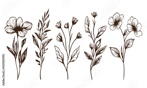 Set of hand drawn wild flower illustration isolated on white background