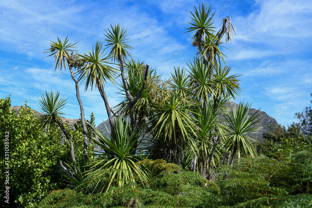 Landscape of Mou Waho scenic reserve in lake Wanaka, New Zealand