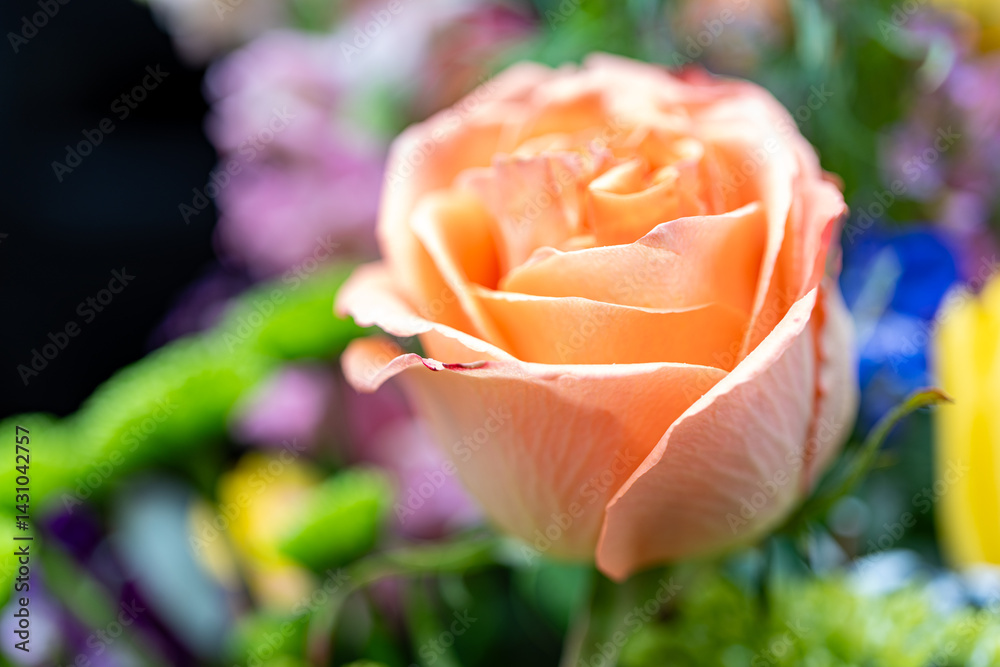 Pink Rose in a Bouquet
