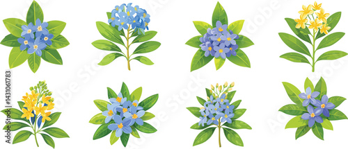 Lignum vitae flower.