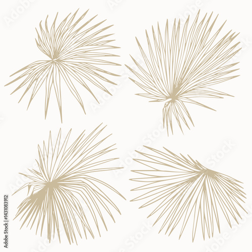 Hand-Drawn Botanical Palm Leaves Sketch. Vector Clip Art of washingtonia plant.