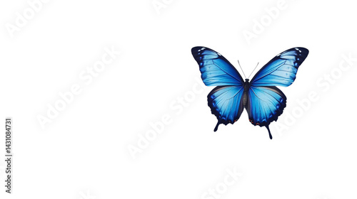 Stunning Blue Butterfly Flying Solo on Transparent Background