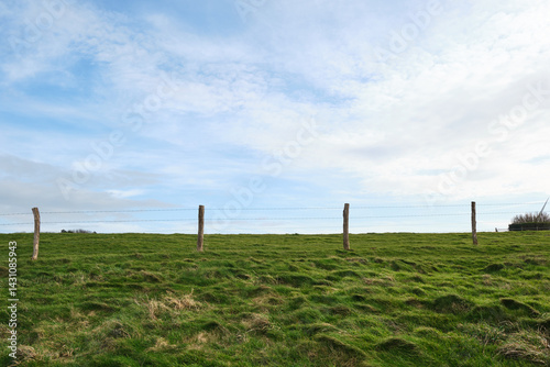 Barbed wire fence on green field and blue sky background, Steel metal fence wire, safety and protection concept.