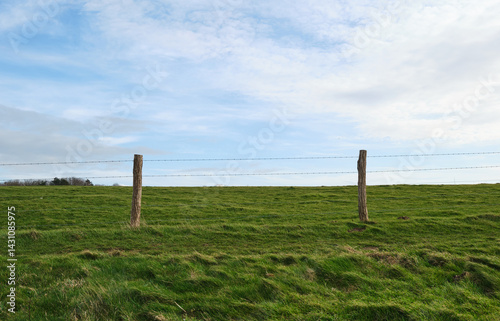 Barbed wire fence on green field and blue sky background, Steel metal fence wire, safety and protection concept.