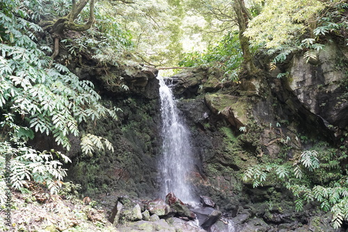 Obraz na płótnie Kleiner Wasserfall bei Maia auf São Miguel w salonie