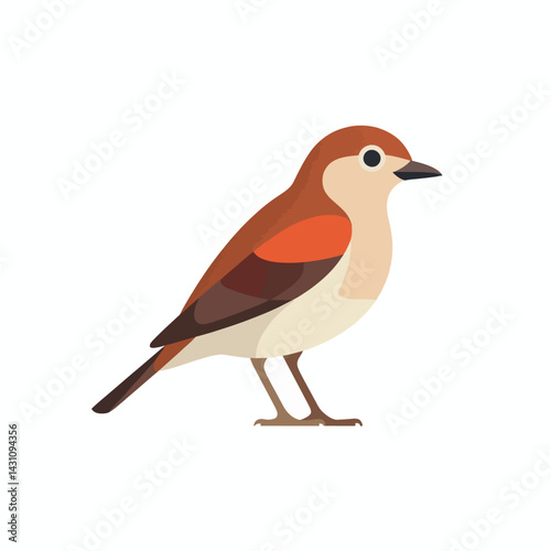 Warbler Bird Graphic Illustration in Vector Format