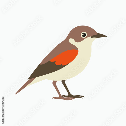 Warbler Bird – Vector Style Illustration

