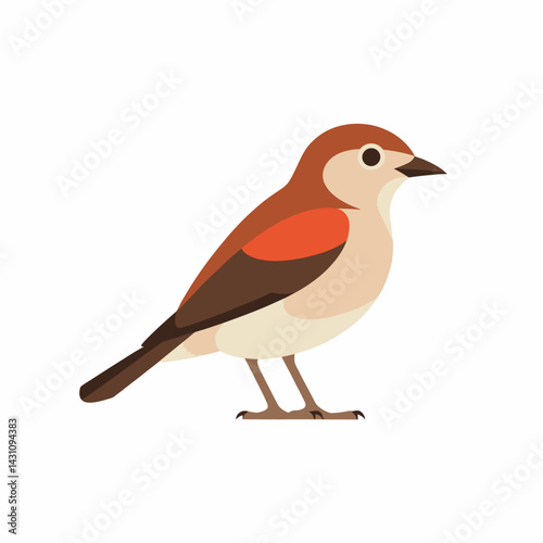 Stylized Warbler Bird Vector Design

