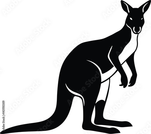 Silhouette of a standing kangaroo with visible pouch minimalistic vector style perfect for wildlife or Australian themed artwork