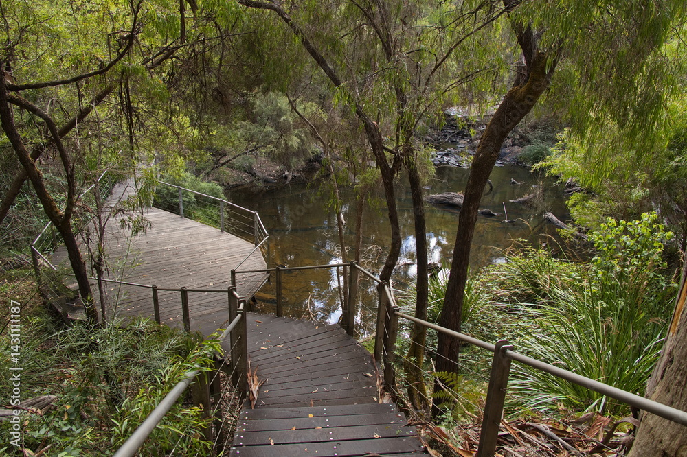 Obraz premium Board walk at The Cascades at Pemberton, Western Australia, Australia 