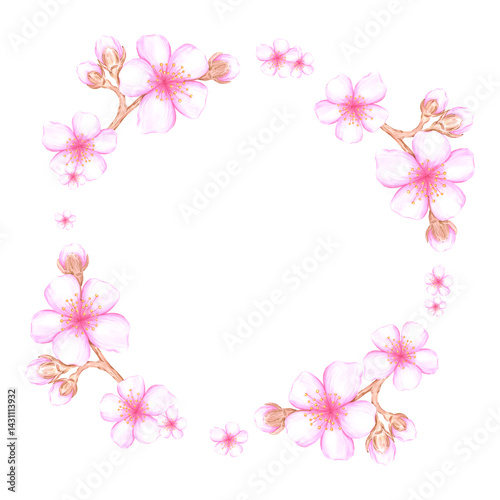 Hand drawn watercolor cherry blossom branch wreath frame border isolated on white background. Can be used for postcard, album, scrapbook and other printed products.