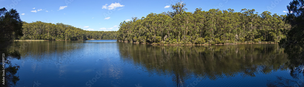 Obraz premium View of Big Brook Dam at Pemberton, Western Australia, Australia 