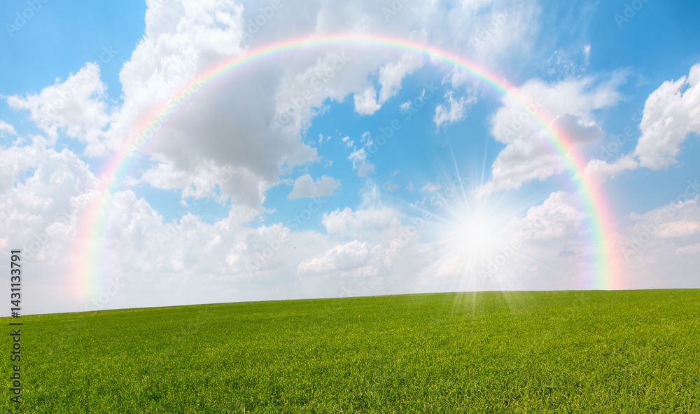 Naklejka premium Beautiful landscape with green grass field amazing rainbow in the background 