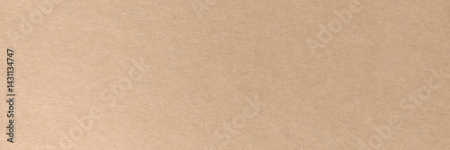Seamless Kraft Paper Texture. Rough, grainy, beige material. Minimalistic background for design, advertising. Empty space for inscriptions. A cardboard sheet. Vector 