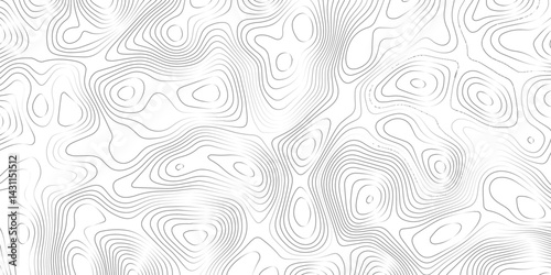 White color wave paper curved reliefs abstract background, Topography map Vector background, Vintage outdoors style, topographic contours map,  geographic contour map.