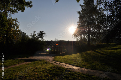Obraz na płótnie meadow lawn in the middle of the city sunlit grass and footpath w salonie