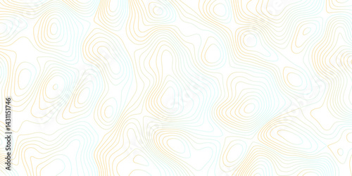 White color wave paper curved reliefs abstract background, Topography map Vector background, Vintage outdoors style, topographic contours map,  geographic contour map.