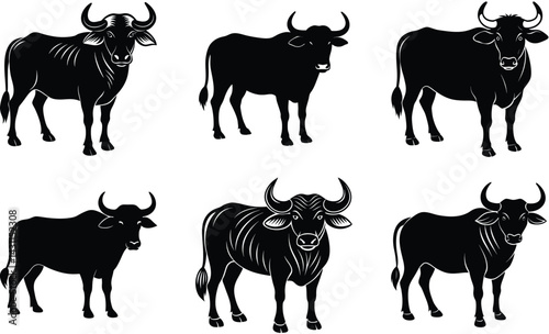 Water buffalo domestic animal silhouette vector art set design