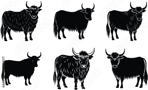 Yak domestic animal silhouette black vector art design set