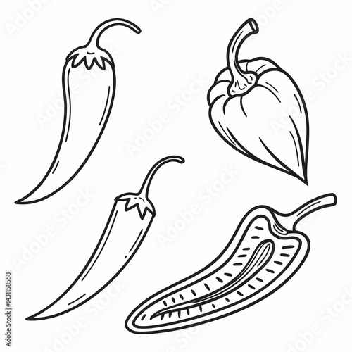 Illustration of various chili peppers in outline style on white background, copy space
