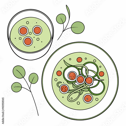 Illustration of a bowl and plate of green vegetable soup with meatballs and herbs on white background, copy space