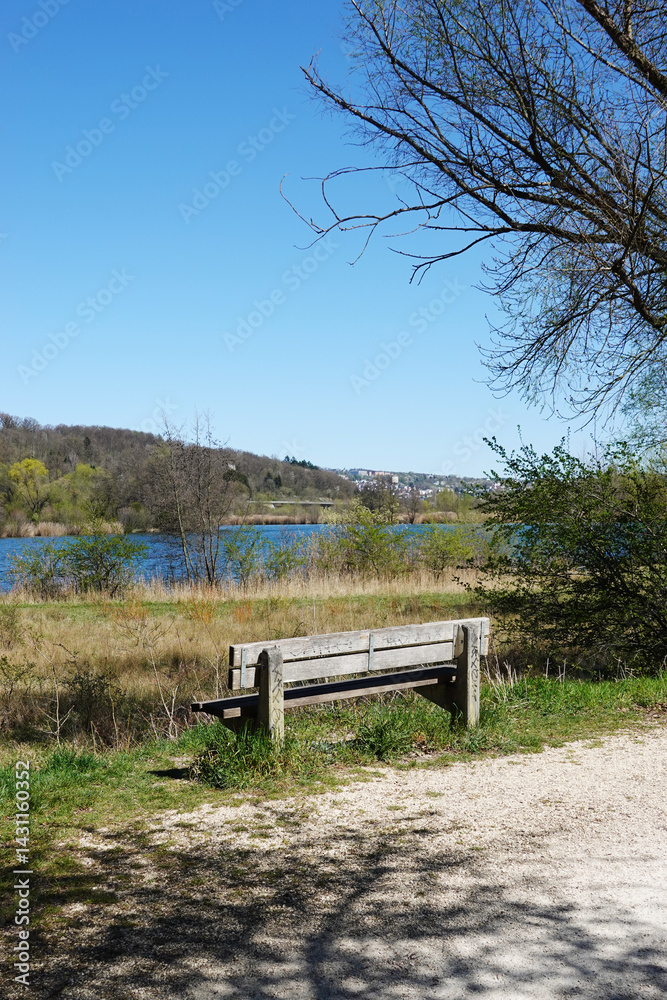 Fototapeta premium A natural park at Wernauer Bagger lake, Wendlingen, Germany