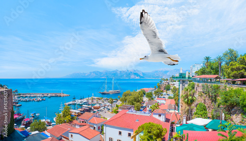 Fototapeta Naklejka Na Ścianę i Meble -  Aerial view of Antalya old town or harbour (Kaleici), Bay with ships and boats in summer - Antalya, Turkey 