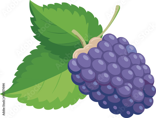 A vibrant vector art illustration of delicious mulberry fruit, showcasing rich colors and juicy texture, perfect for fresh food designs.