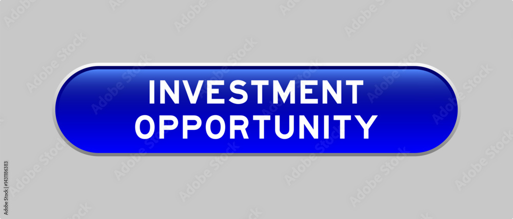 Fototapeta premium Blue color capsule shape button with word investment opportunity on gray background