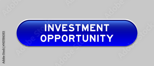 Blue color capsule shape button with word investment opportunity on gray background