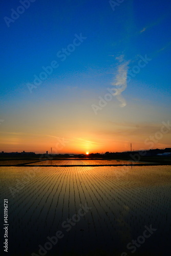 朝の越後平野　田園風景（新潟県）