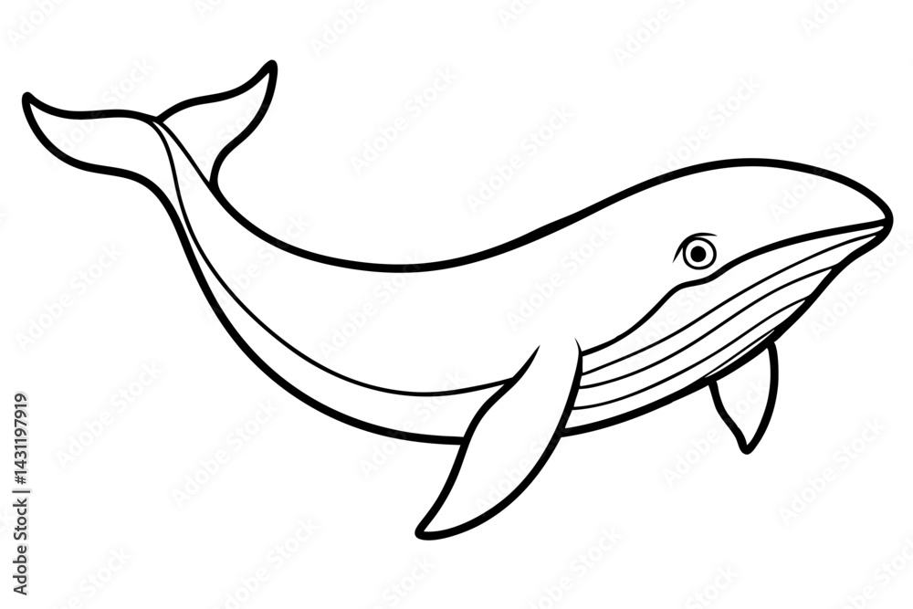 Fototapeta premium Whale Outline Illustration