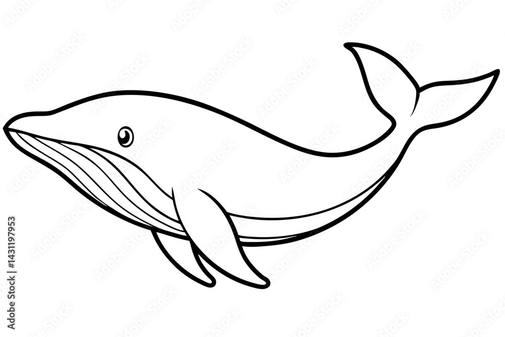 Fototapeta premium Whale Outline Illustration