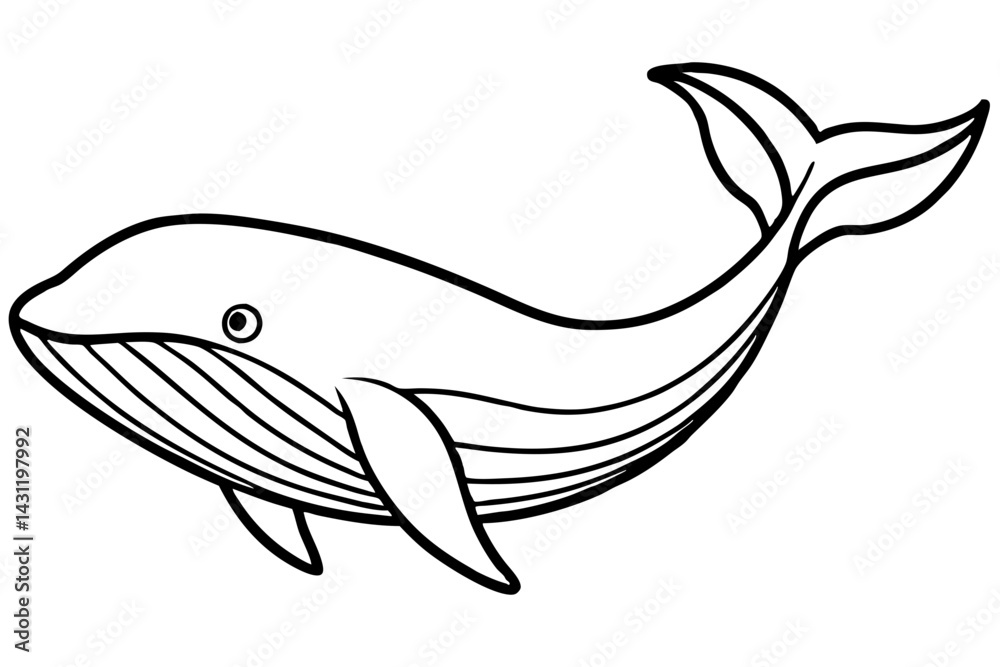 Fototapeta premium Whale Outline Illustration