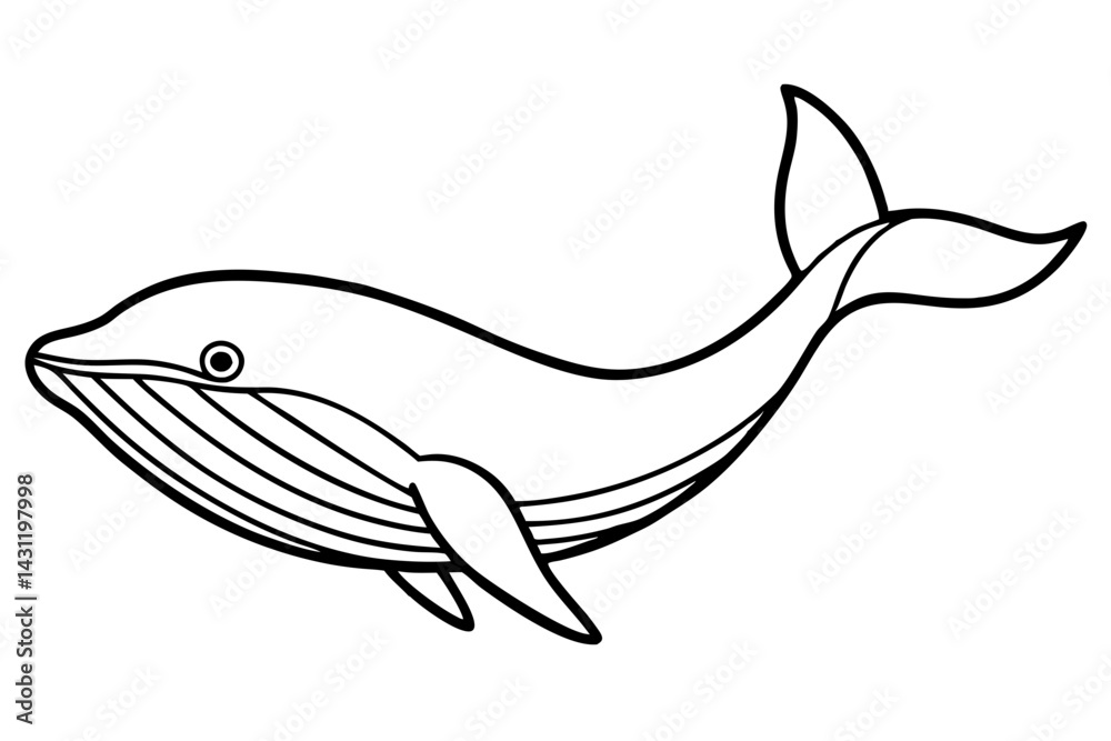 Fototapeta premium Whale Outline Illustration