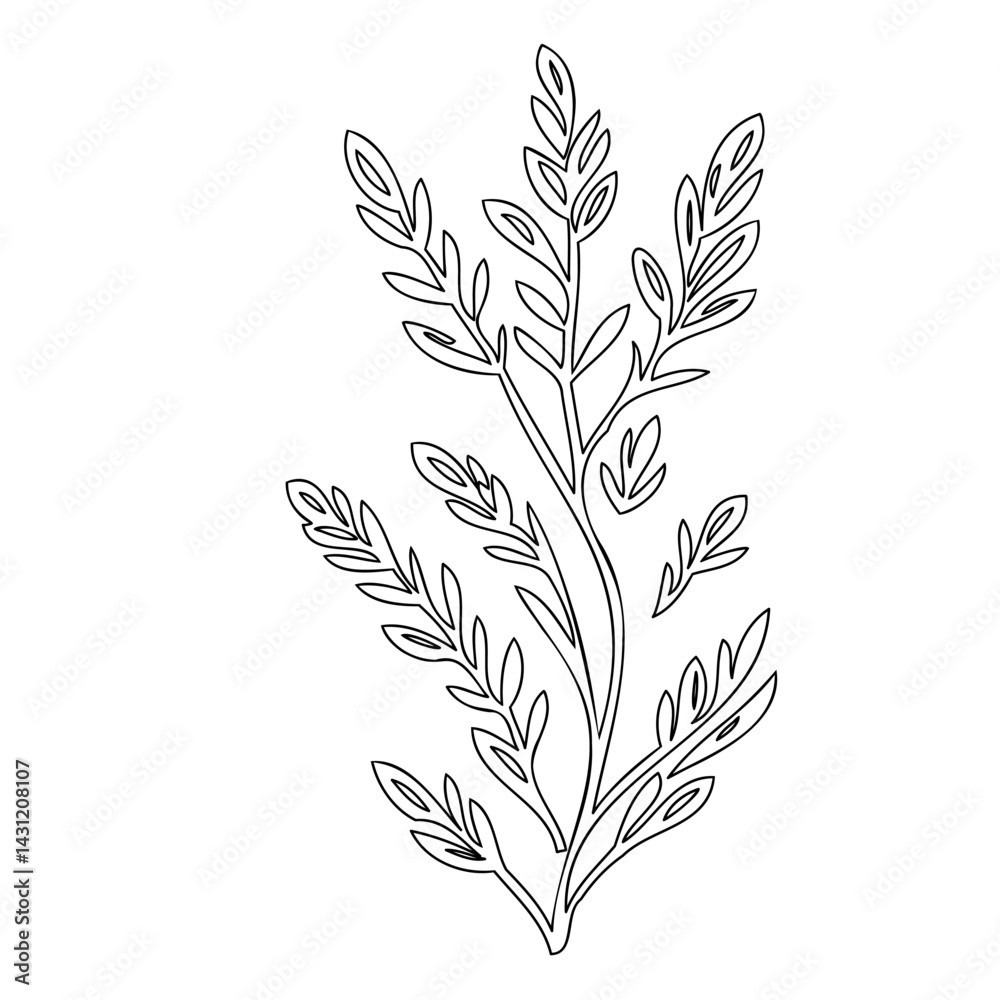 Fototapeta premium Elegant botanical line art illustration of a plant with delicate leaves