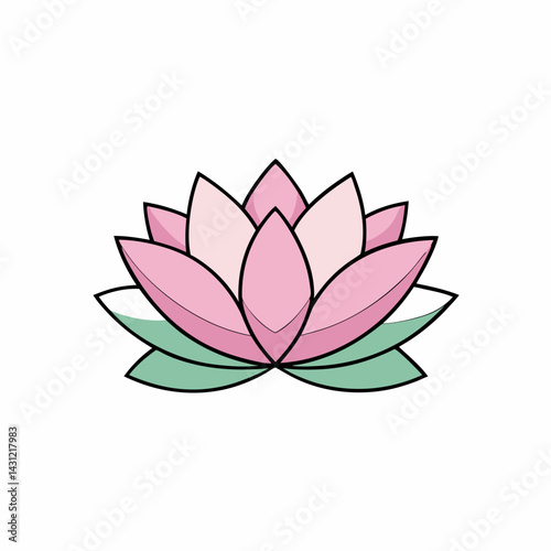 pink lotus flower
