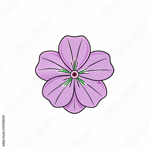 pink dahlia flower