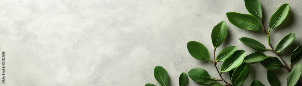 Obraz premium Green leaves on light textured background, evoking calmness