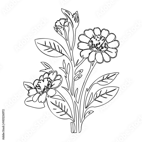 Elegant floral outline artwork showcasing zinnia blossoms and verdant foliage
