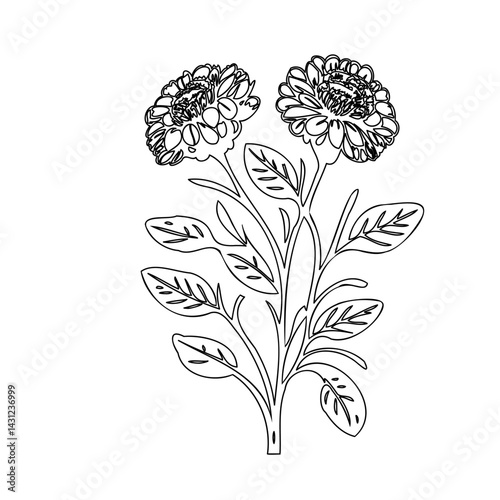 Elegant floral illustration featuring a botanical arrangement with intricate outlines
